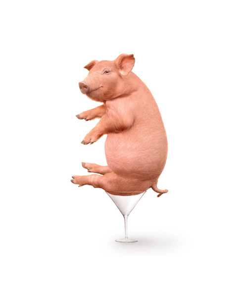 pigMartiniBBB.jpg